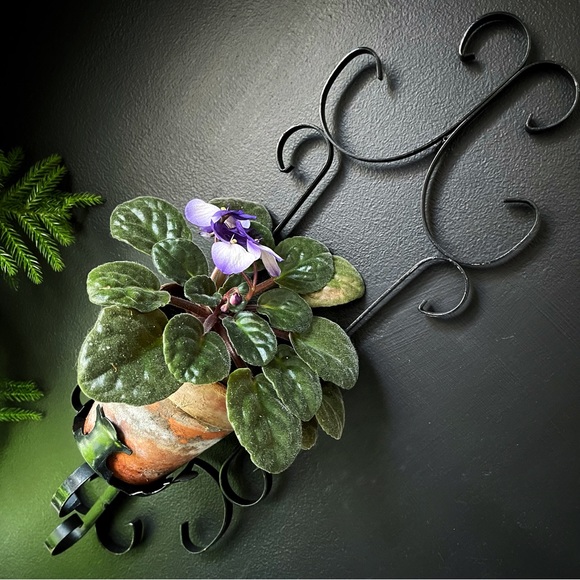 Wall Decor Vintage Wrought Iron Metal Wall Mount Plant Candle Holder